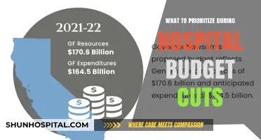 Strategic Priorities for Healthcare Excellence Amid Hospital Budget Cuts