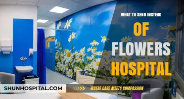 Thoughtful Hospital Gifts: Unique Alternatives to Send Instead of Flowers