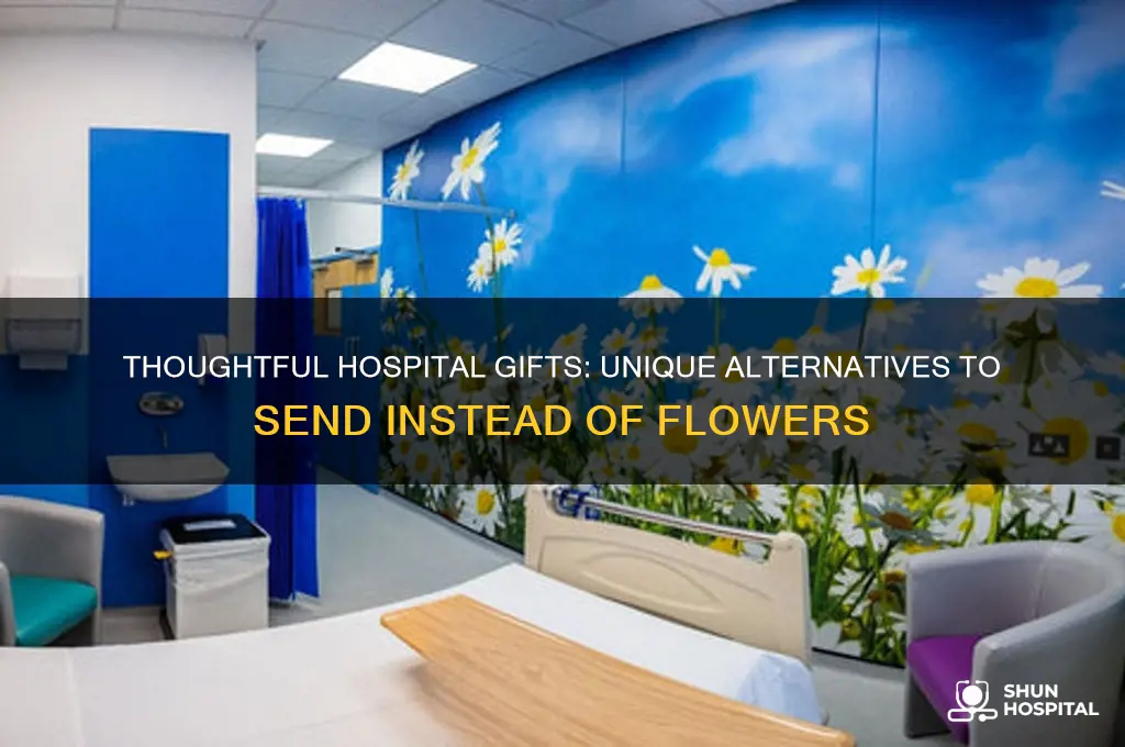 what to send instead of flowers hospital