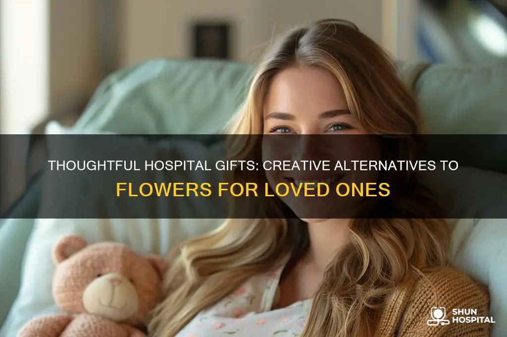 what to send someone in the hospital besides flowers