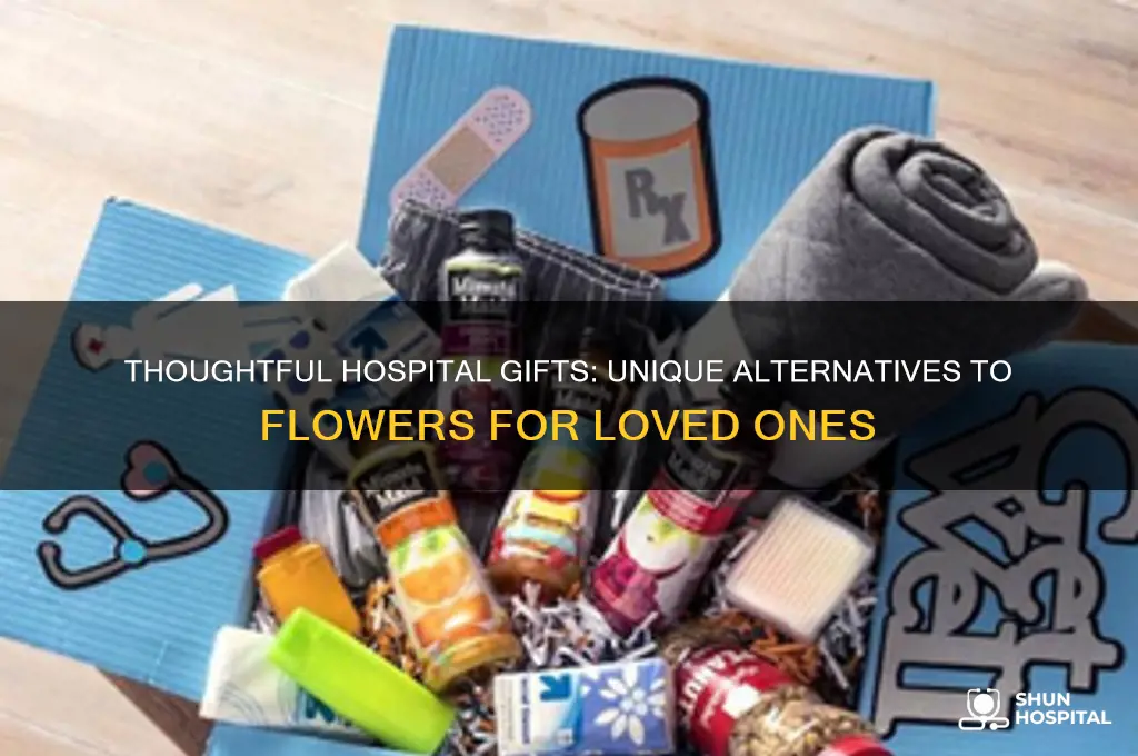 what to send someone in the hospital instead of flowers