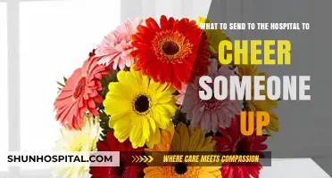 Brighten Their Stay: Thoughtful Gifts to Cheer Up Hospital Patients