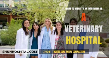 Dress for Success: Veterinary Hospital Interview Attire Tips