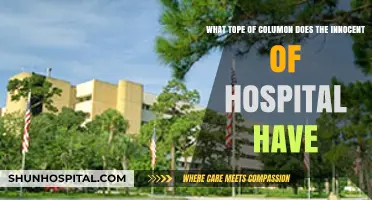 Exploring the Types of Columns in Hospital Architecture and Design