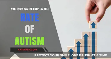 Exploring the Town with the Highest Autism Diagnosis Rates