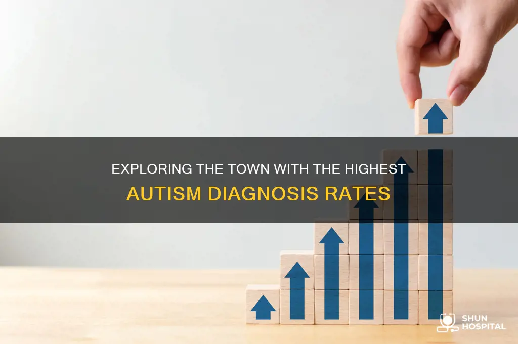 what town has the hospital hest rate of autism