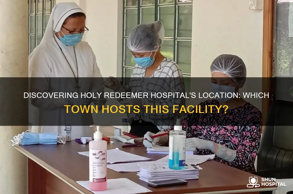what town is holy redeemer hospital in