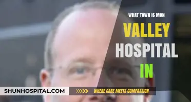Discovering Mon Valley Hospital's Location: Which Town Hosts This Facility?