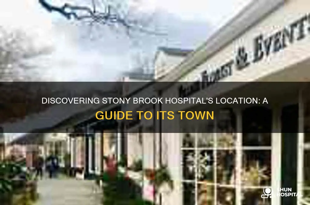 what town is stony brook hospital in