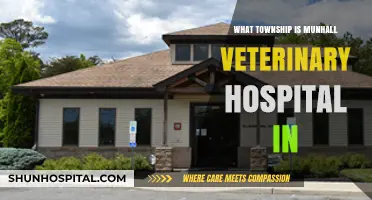 Munhall Veterinary Hospital's Township Location: A Quick Guide