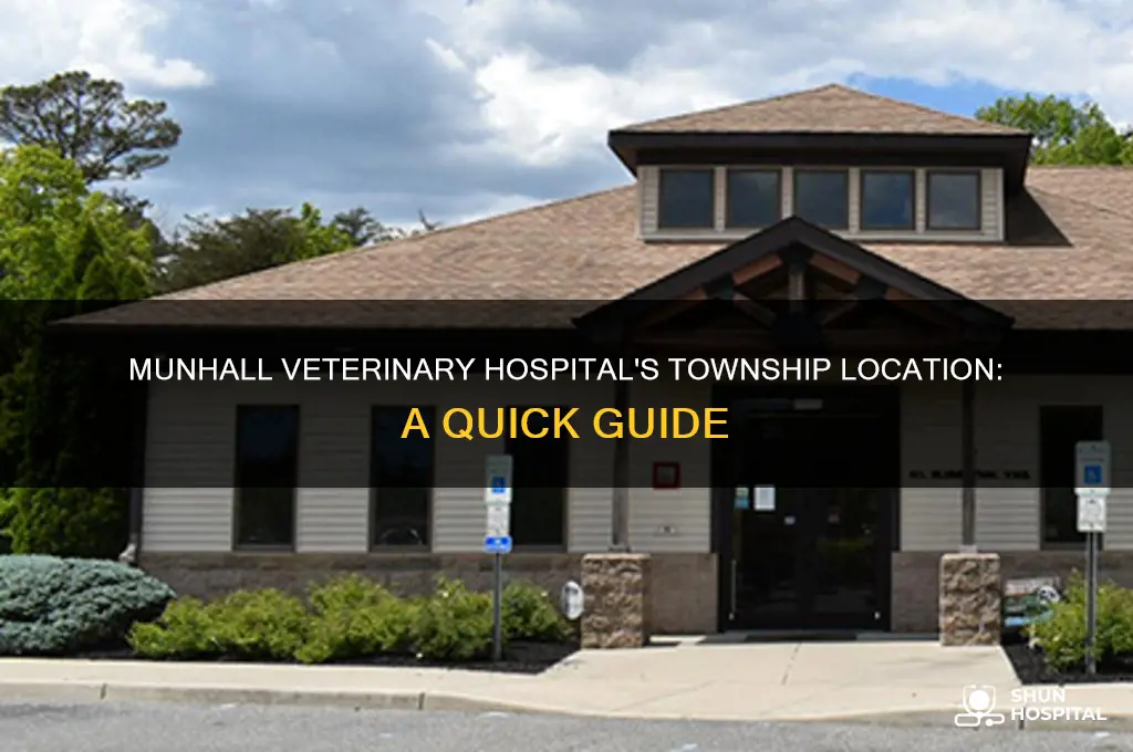 what township is munhall veterinary hospital in