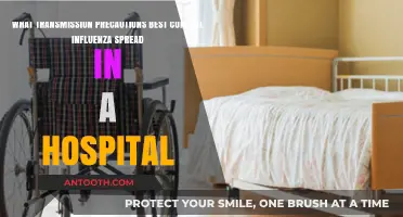 Effective Transmission Precautions to Control Influenza Spread in Hospitals
