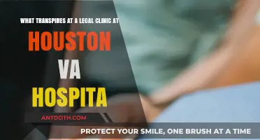 Houston VA Hospital Legal Clinic: Services, Impact, and Community Support