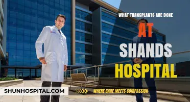 Organ Transplants at Shands Hospital: Procedures, Expertise, and Patient Care