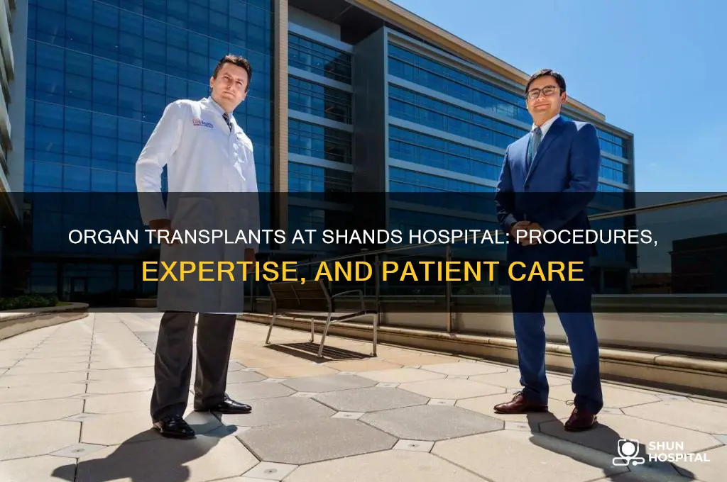 what transplants are done at shands hospital