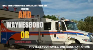 Transportation Options: UVA Hospital to Waynesboro, Virginia Travel Guide