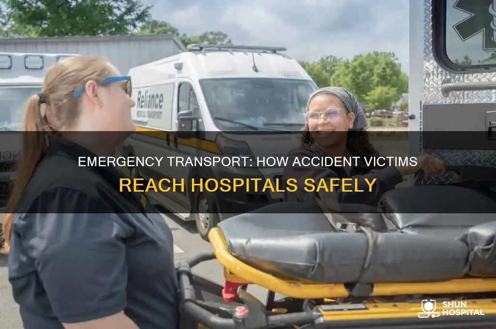 what transports bodies from an accident scene to the hospital