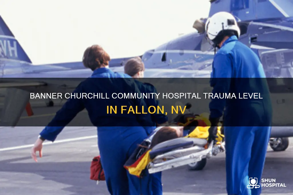 what trauma level is banner hospital in fallon nv