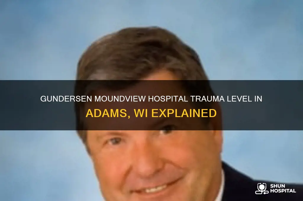 what trauma level is gundersen moundview hospital in adams wi