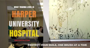 Understanding Harper University Hospital's Trauma Level and Emergency Care