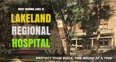Lakeland Regional Hospital Trauma Level: Understanding Its Classification and Care