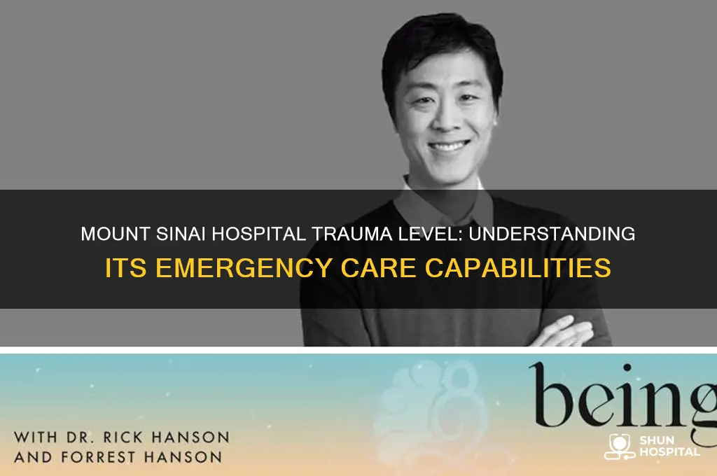 what trauma level is mount sinai hospital