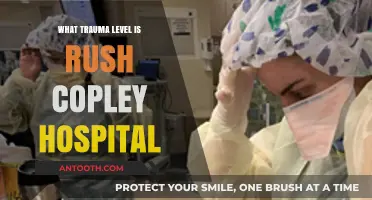 Rush Copley Hospital Trauma Level: Understanding Its Classification and Care