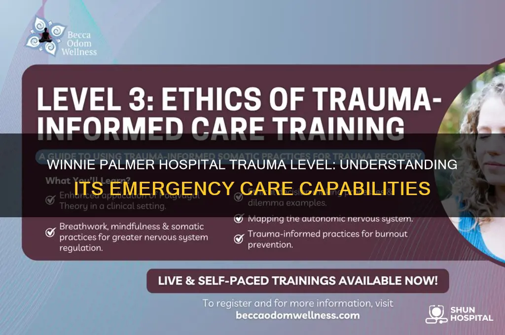 what trauma level is winnie palmer hospital