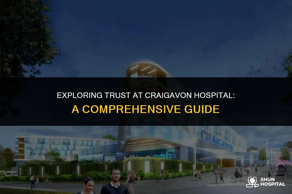 what trust is craigavon hospital