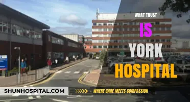 Exploring Trust at York Hospital: A Comprehensive Guide