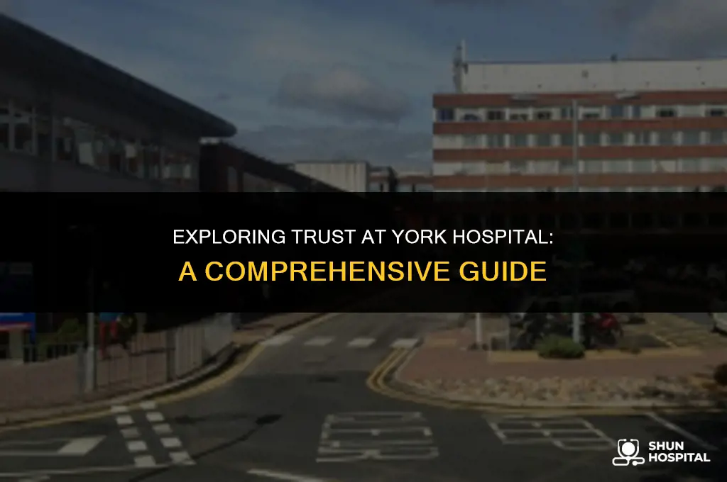 what trust is york hospital