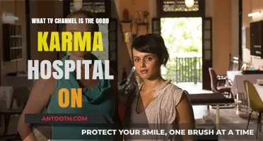 Where to Watch The Good Karma Hospital: TV Channel Guide