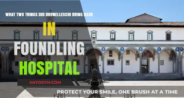Brunelleschi's Foundling Hospital Innovations: Two Revived Architectural Elements