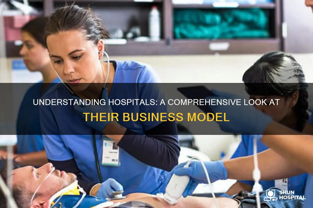 what type of business is a hospital