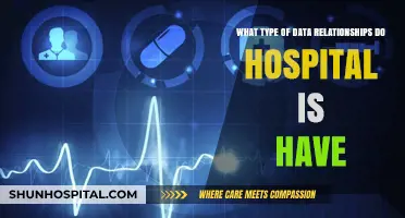 Exploring Hospital Data Relationships: Types, Connections, and Insights