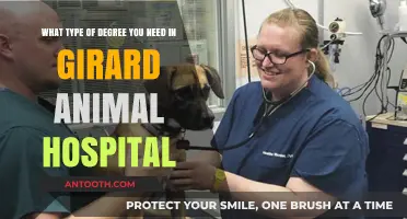 Pursuing a Career at Girard Animal Hospital: Essential Degrees and Qualifications