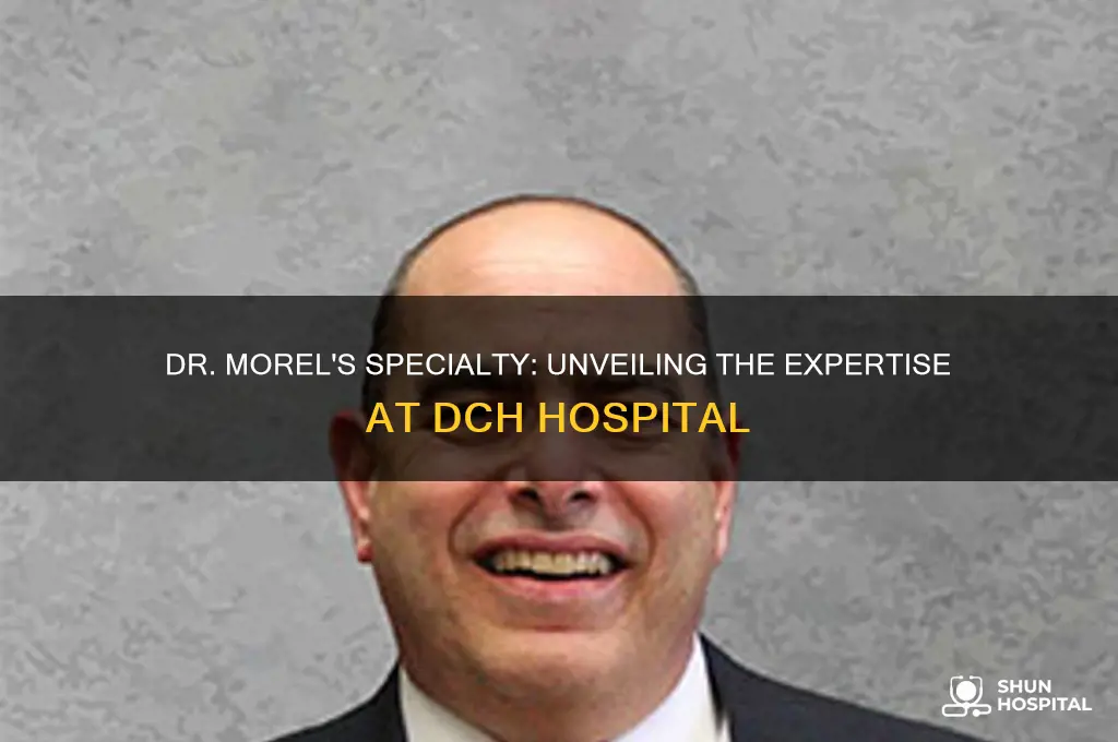what type of doctor is dr morel at dch hospital