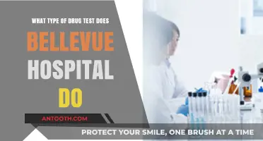 Bellevue Hospital Drug Testing: Types and Procedures Explained