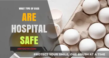 Hospital-Safe Eggs: Choosing the Right Type for Patient Nutrition