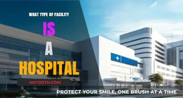 Understanding Hospitals: Comprehensive Healthcare Facilities and Their Essential Roles