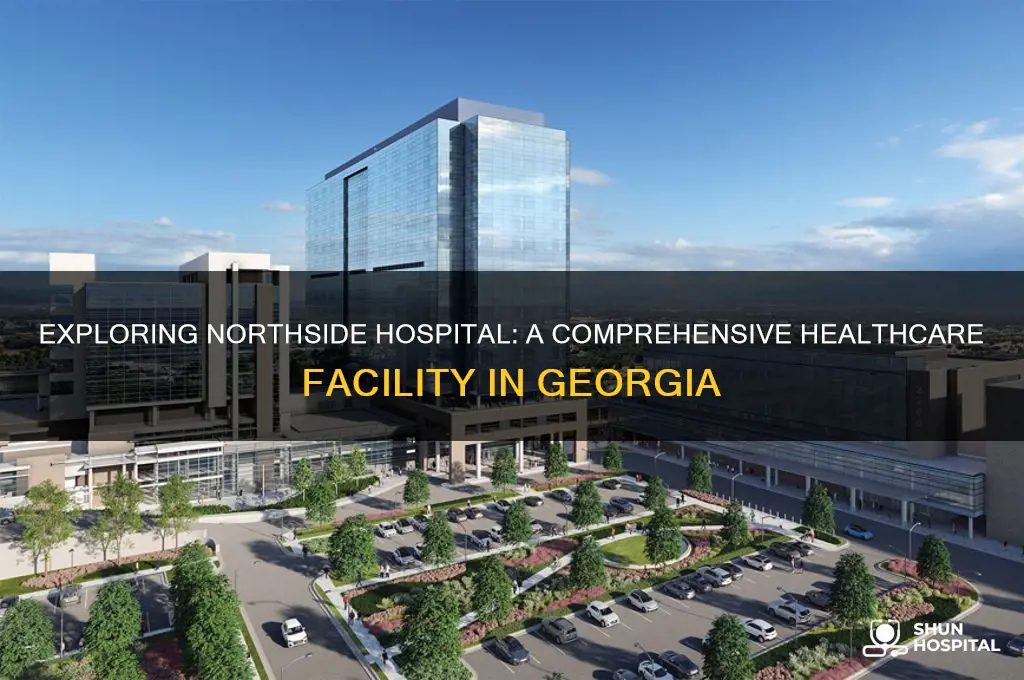 what type of facility is northside hospital in georgia