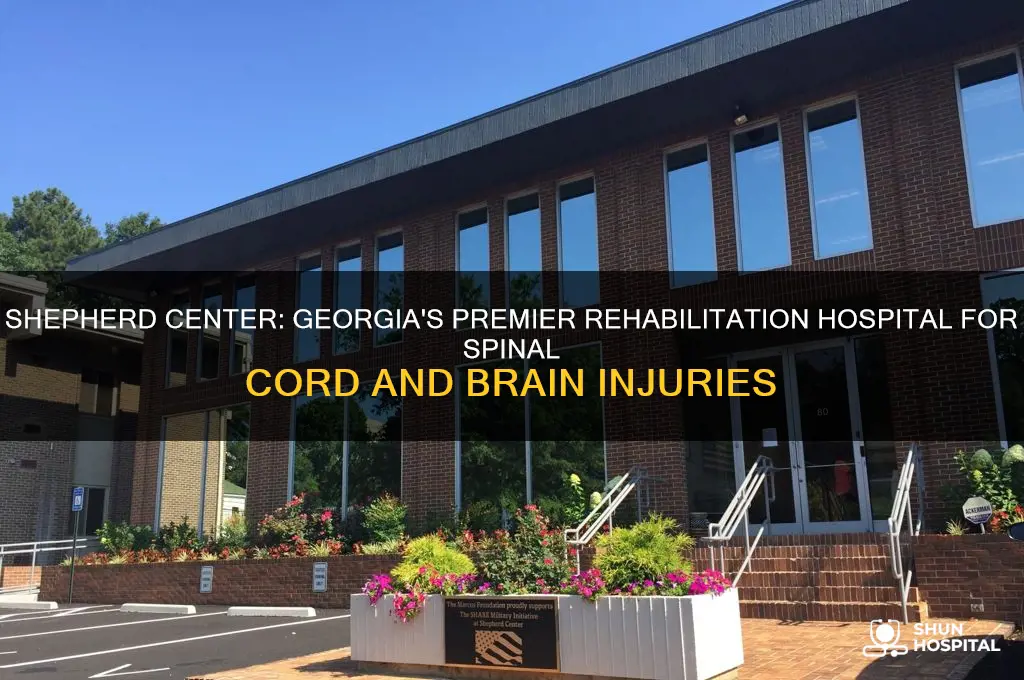 what type of facility is shephards hospital in georgia