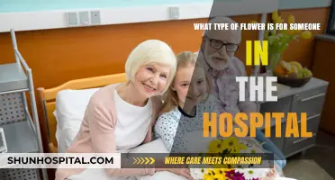Brighten Their Day: Best Flowers to Gift Hospital Patients