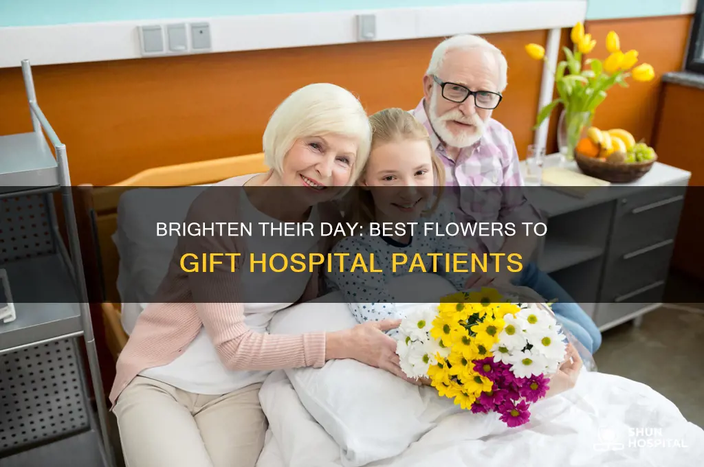what type of flower is for someone in the hospital
