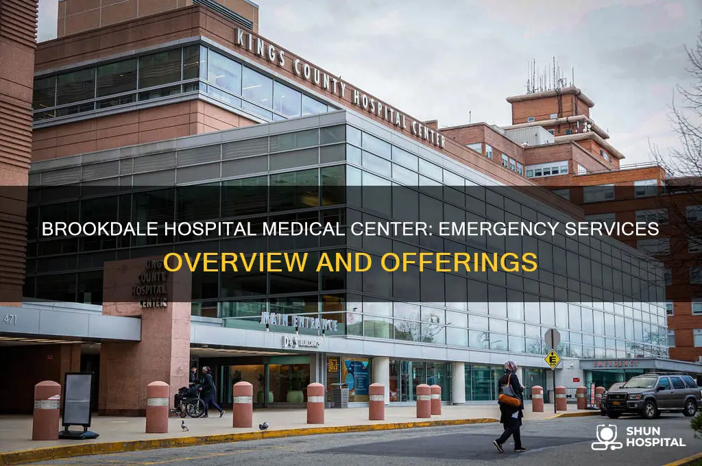 what type of hospital emergency services brookdale hospital medical center