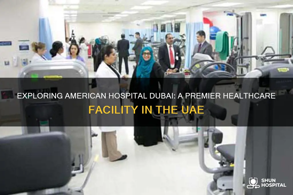 what type of hospital is american hospital of dubai