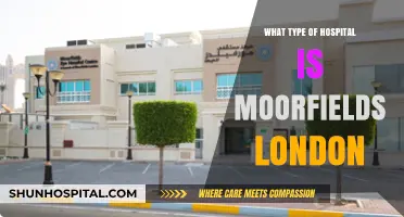 Moorfields Eye Hospital London: Specialization, Services, and Reputation Explained