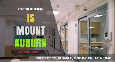 Exploring Mount Auburn: A Comprehensive Guide to Its Hospital Type