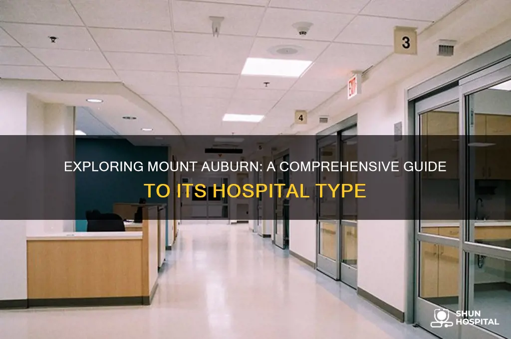 what type of hospital is mount auburn