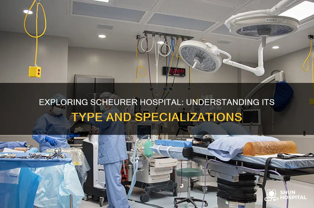 what type of hospital is scheurer hospital